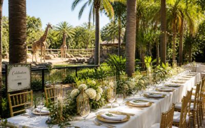 Venue hire zoo offers unique spaces for any event.
